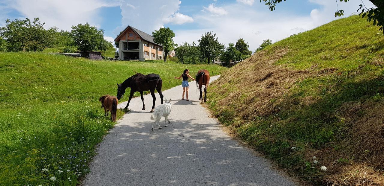 Apartma Pri Bostjanu Škofja Loka Eksteriør bilde